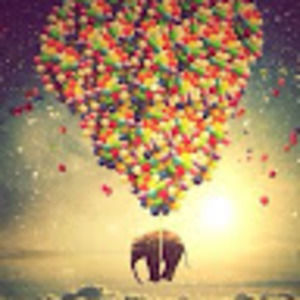 Meet your Posher, Maia